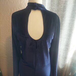 Blue Velvet Holiday Dress